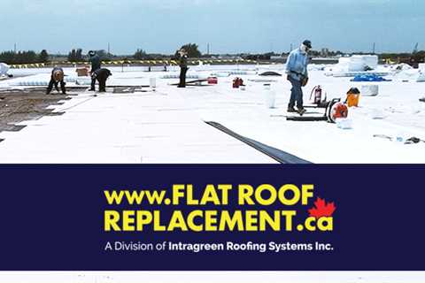 Do You Need a Roof Replacement?