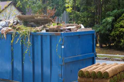 How To Safely Dispose Of Tree Pruning Debris By Hiring The Best Dumpster Company In Duncanville, TX