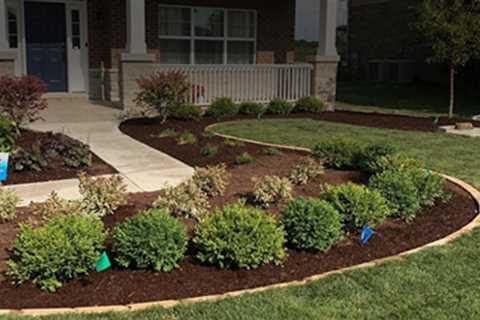 Landscaping Schools - Providing On-The-Spot Training