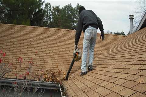 How gutter cleaning?