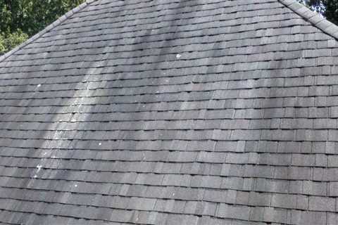 Is chemical roof cleaning safe?