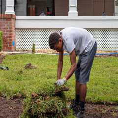 Does Installing a Sprinkler System Ruin Your Yard? - A Guide for Homeowners