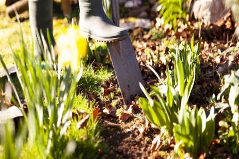 Is fall cleanup necessary?