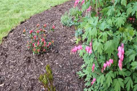 Home Yard Cleaning: How to Secure Your Landscaping Throughout Cleaning up