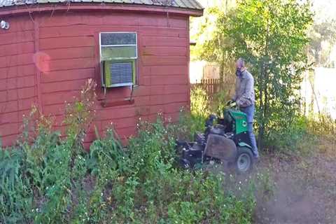 How do you clean a junky yard?