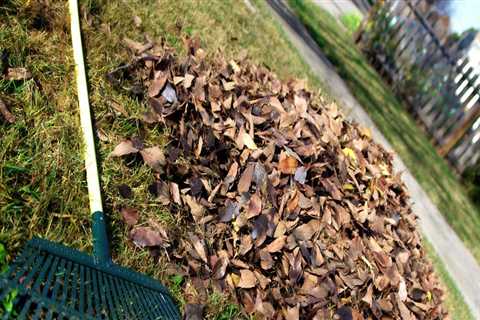 What is the fastest way to clean up your yard?