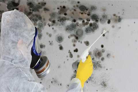 Do i really need mold remediation?