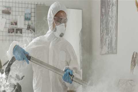 How Mold Inspection Sets The Stage For Mold Removal: A Comprehensive Guide For Champaign Homeowners