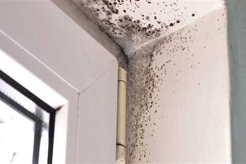 Why mold testing is important?