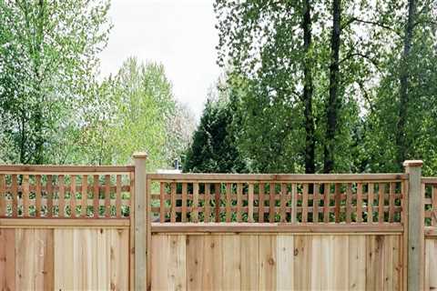 Which Type Of Cedar Fencing In Maple Ridge Is Best For Your Landscape Design