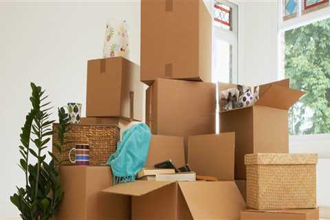 Can Movers Ship Plants Safely and Quickly?