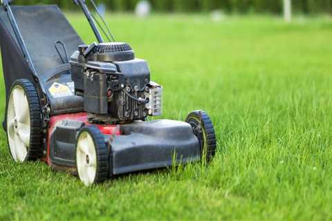 Is it good to mow your lawn every day?