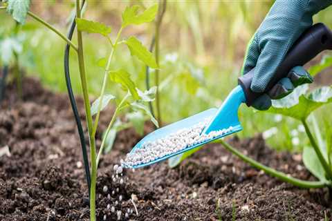 Gardening Tips: Maximize Plant Growth with Fertilizers