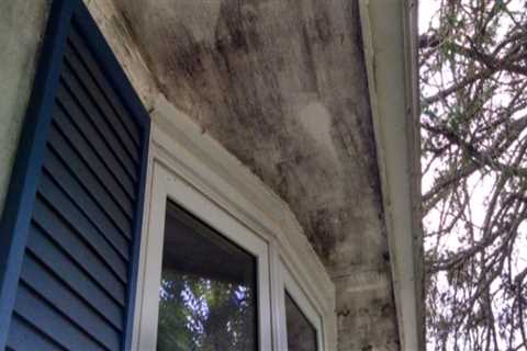 The Risk Behind Ignoring The Pests Cost By Clogged Gutters