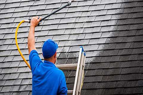 How often should you do roof cleaning?
