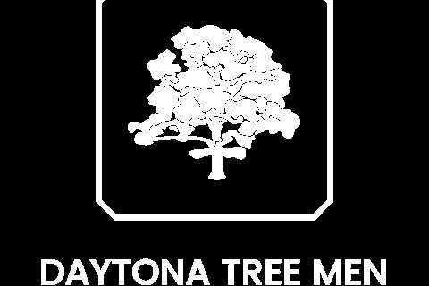 Terms and Conditions - Daytona Tree Men