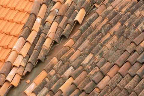 How to Select the Appropriate Roof Cleaning Method for Your Home