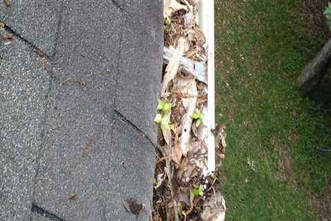 The Reason Why Gutter Cleaning is a Must in Home Pest Control