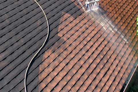 What is the best cleaner for a shingle roof?