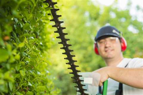 Tree Service Mims - Daytona Tree Men