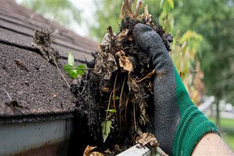 How Gutter Cleaning Can Affect Your Landscaping