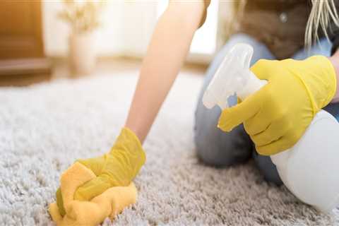 How to Get Rid of Mildew from Carpets and Upholstery - A Comprehensive Guide