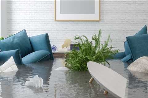 What to Do When You Find Water Damage During a Home Remodel