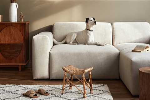 Eliminating Pet Odors from Carpets and Upholstery: A Comprehensive Guide