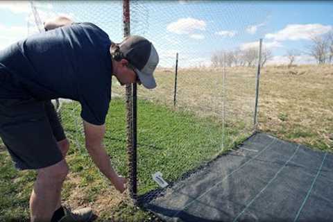 Spring Day In The Lawn // Seeding Talk + Blade Sharpening + Dark Green Spots