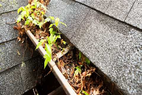 What do clogged gutters look like?