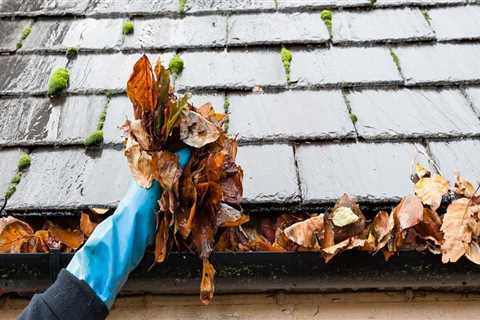 Why gutter cleaning is important?