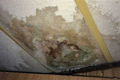 Protecting Yourself From Pink Mold Exposure - Pink Mold