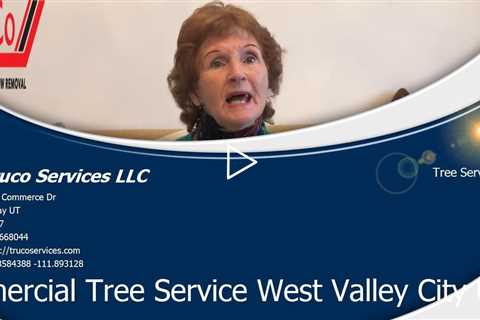 Emergency Tree Services Roy Utah