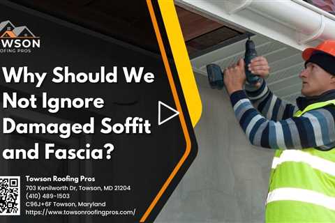 Why Should We Not Ignore Damaged Soffit and Fascia?