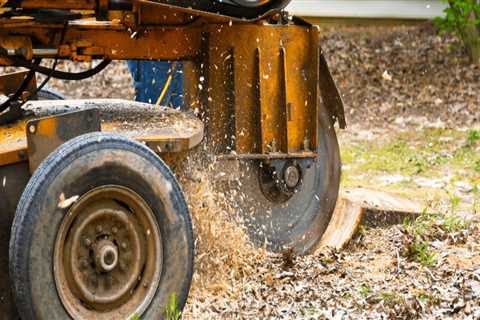 Stump Removal Services: Ensuring the Job is Done Right and Safely