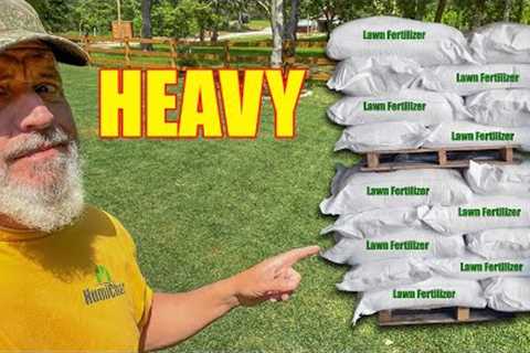 HEAVY Spring Lawn Fertilizer - When to PUSH Your Lawn