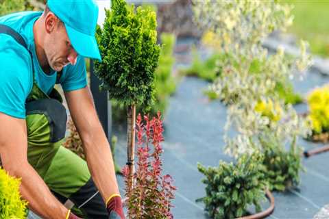 How Much Do Landscapers Charge Per Hour?