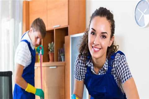 What is the Difference Between a Maid and Cleaning Lady?