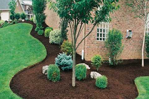 Groundskeeping: What Type of Plants and Trees to Use