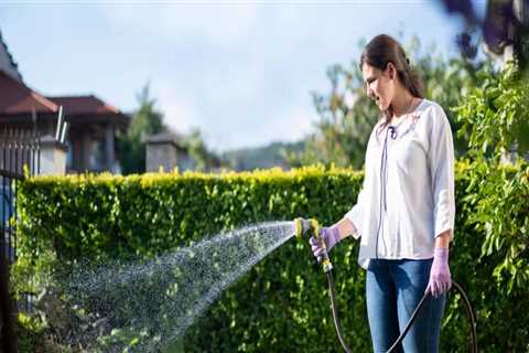 Which Watering Method is Best for Your Lawn: Hose or Sprinkler System?