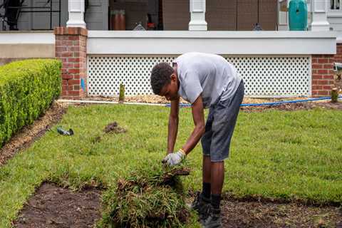 Does Installing a Sprinkler System Ruin Your Yard? - A Guide for Homeowners