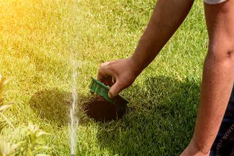 How A Sprinkler System Can Help You Maintain Trees On Your Omaha Property