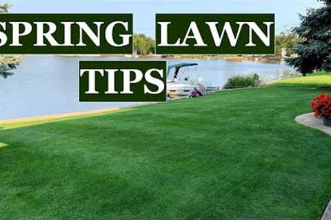 Don''t make these 3 MISTAKES // Spring lawn care