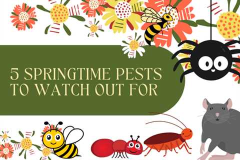 5 Springtime Pests To Watch Out For