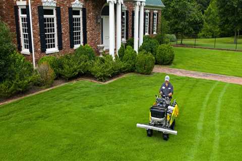 Are lawn care companies worth it?