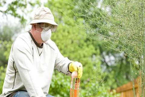 What are some tips for successful diy pest control projects?