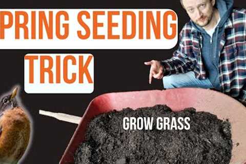 Improve Your Spring Grass Seeding with this Trick//Midwest Lawncare