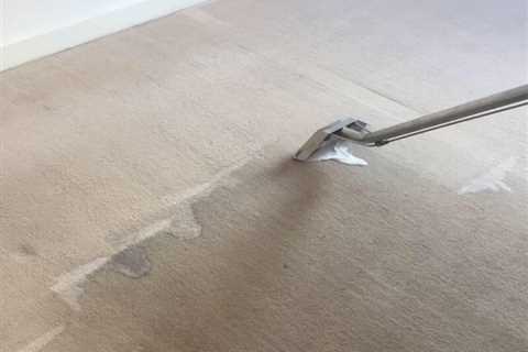 How Long Does A Carpet Take To Dry After Shampooing?