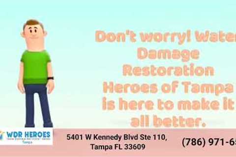Water Damage Restoration Mold Remediation Service In Tampa Florida