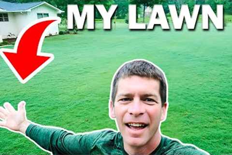 Pro Shares 5 Lawn Care Tips for a Dream Yard!